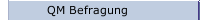 QM Befragung