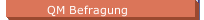 QM Befragung